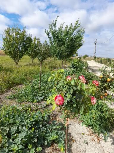 La Crotiniere Villa Marmagne  ภายนอก รูปภาพ